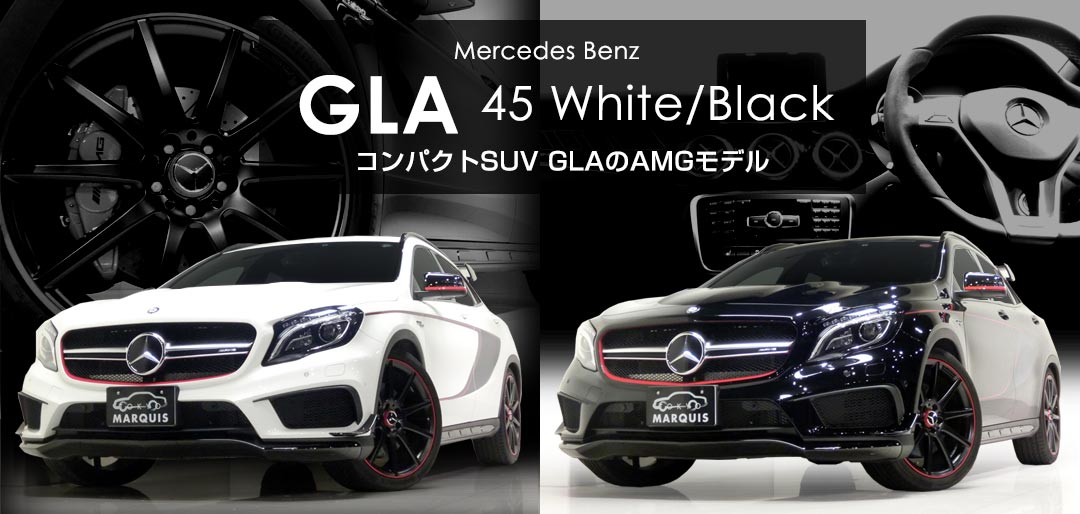 AMG GLA 45 Editon1 白黒
